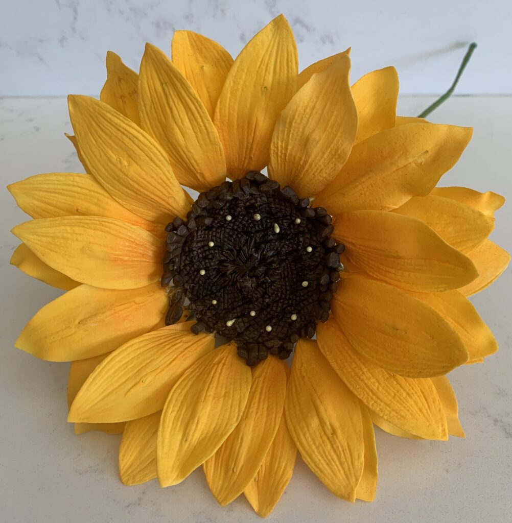 yellow sunflower resembling flower